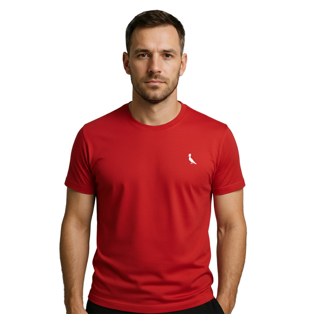 Camiseta Masculina Premium 100% Algodão - Preta